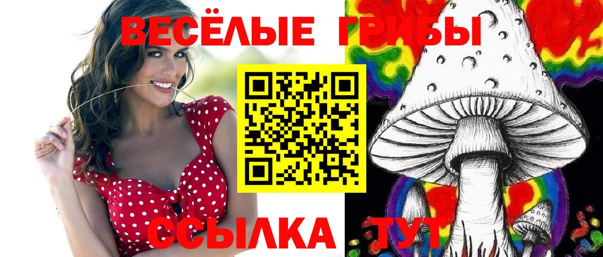 Михайловка  Псилоцибиновые грибы Cubensis  сколько стоит  Вход с VPN 