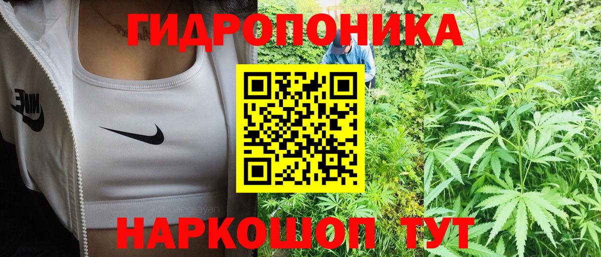 Михайловка  Конопля планчик  Вход с VPN  Шишки марихуана AK-47  Канабис гибрид  Конопля сатива 